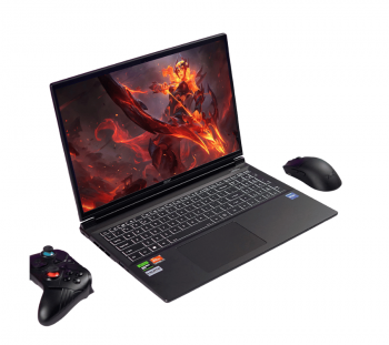 Acer (2)